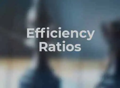 Financial Analysis Efficiency Ratios