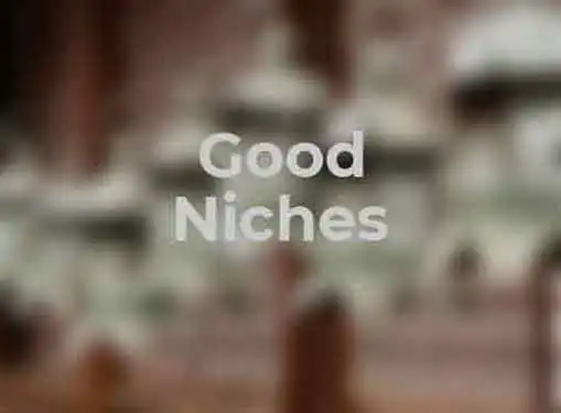 Good Niches for Web Publishers