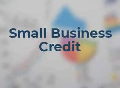 Managing Small Business Credit