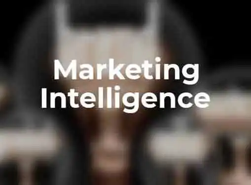 Marketing Intelligence For Financial Services