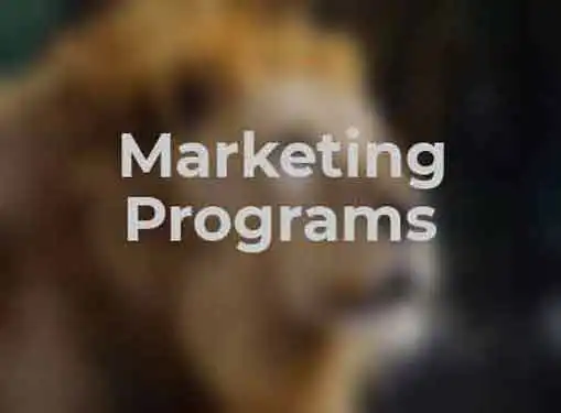 Marketing Programs