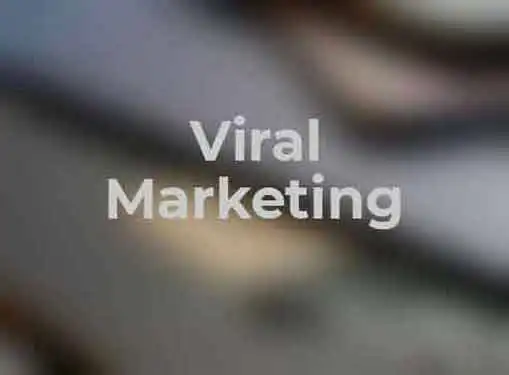 Viral Marketing and Facebook