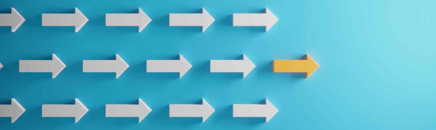 The Franchising Decision