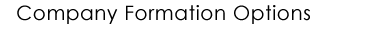 Company Formation Options