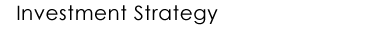 Investment Strategy