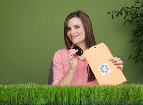 Office Depot Small Business Index Green Small Businesses Survey Result