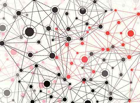 Research on Social Networking Types