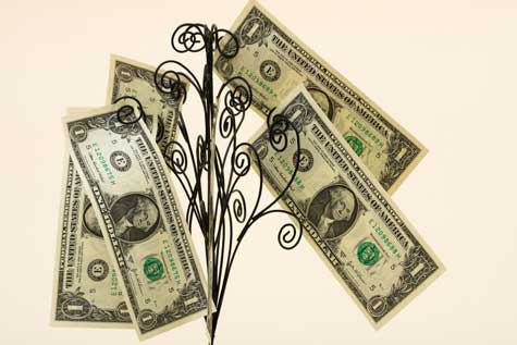 Small Business Loan Trends
