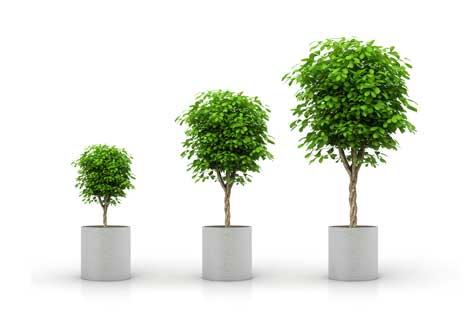Entrepreneur Growing in Positive Way