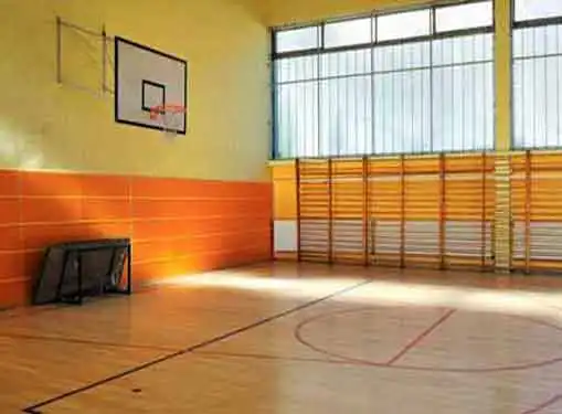 Athletic Courts Business