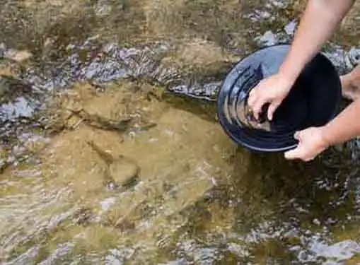 Gold Panning Business