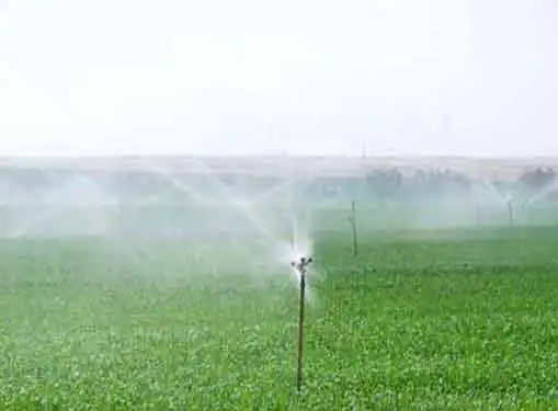 Irrigation Equipment and Systems Business