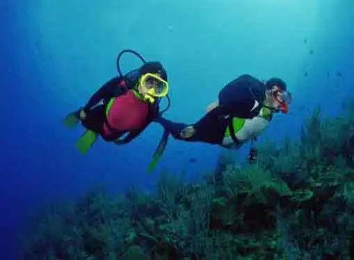 Scuba and Skin Diving Business