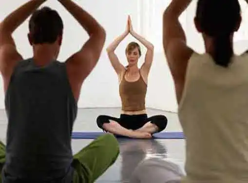 Yoga Instruction and Therapy Business