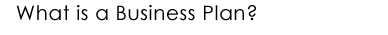 What is a Business Plan?