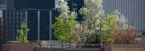 Amenities To Help Lease Your Office Property