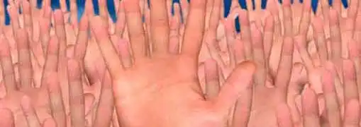 Body Language in Business Palms