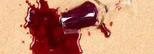 Carpet Care Franchises