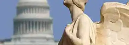 Common Reasons for Not Winning Government Contracts