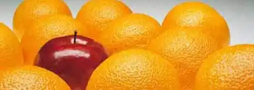 Creating a Distinct Brand