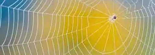 Customer Development Strategy