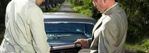 Detecting Franchising Scams