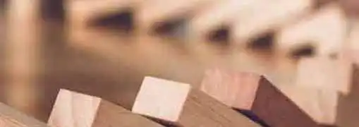 Drawbacks of Foreign Incorporation