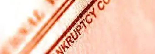Franchise Bankruptcy How to Protect Your Business