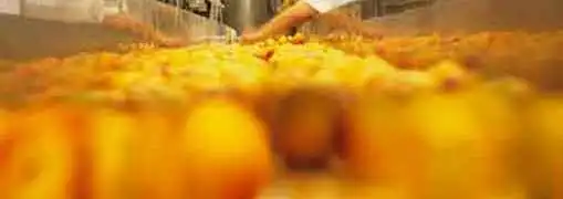 Good Manufacturing Practices GMPs