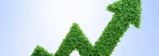 Grassroots Marketing for Food Products