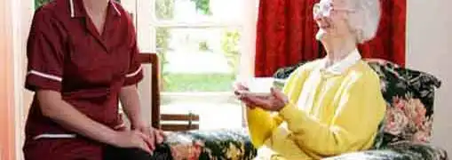 Home Services Franchises