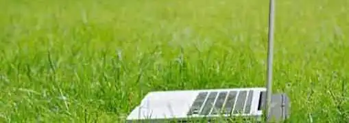 How to Go Green in Small Business