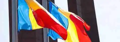 Interview with Dr Luana OConnor Founder of HappyDental