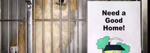 Interview with Ken Vrana President and CEO of The 1 in 8 Foundation