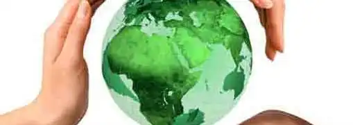 Interview with Peas for Prosperity Founder Christy Annis