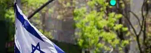 Interview with Rony Ross Founder of Panorama Software