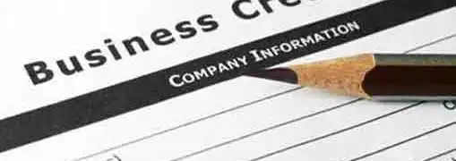 Managing Business Debt