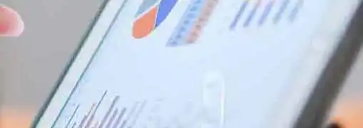 Monthly Income Report