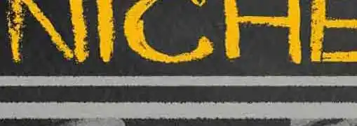 Niche Content Sites