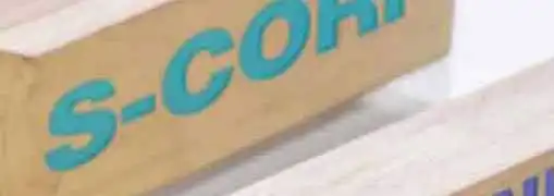 S Corp Disadvantages