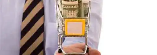 Shopping for Business Bargains