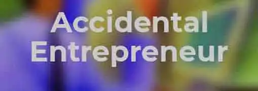 Accidental Entrepreneur
