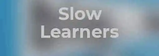 Are You a Slow Learner in Business