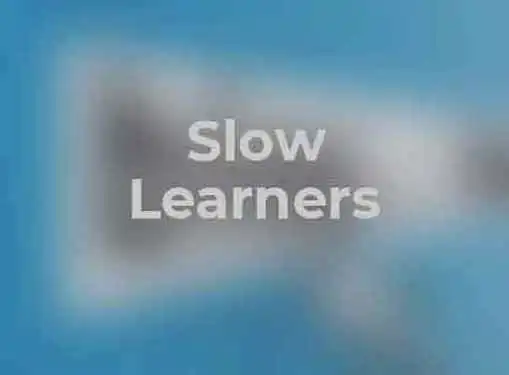Are You a Slow Learner in Business