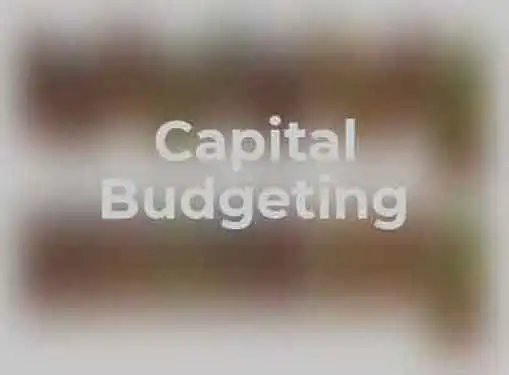 Basic Guide to Capital Budgeting
