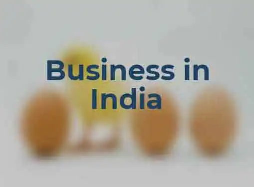 Business Environment India