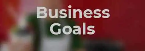 Business Goals Versus Business Strategies