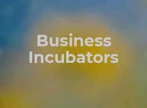 Business Incubators