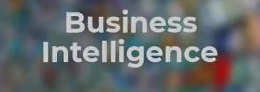 Business Intelligence The New Competitive Advantage