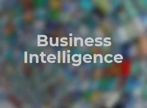 Business Intelligence The New Competitive Advantage